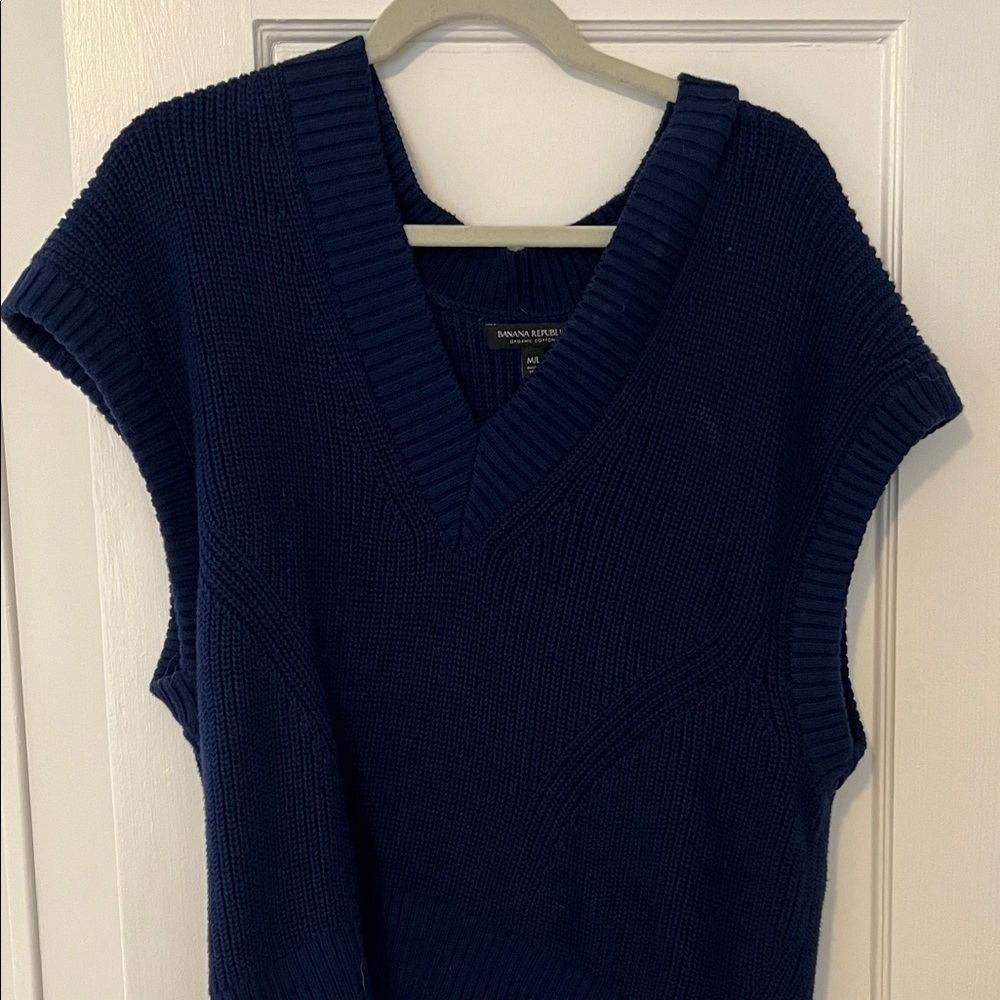 Banana Republic Deep Blue V-Neck Sweater